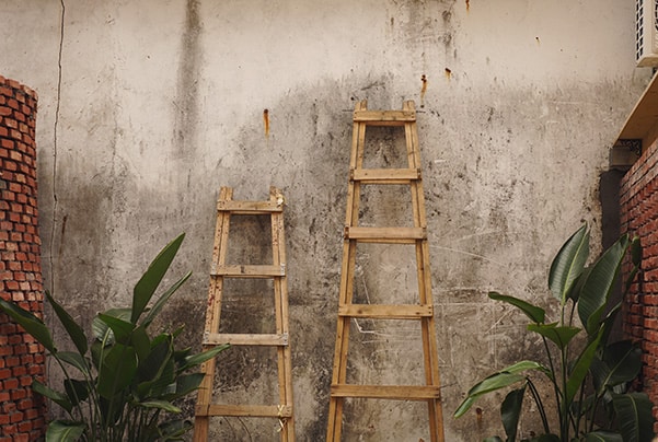 Ladders in backyard