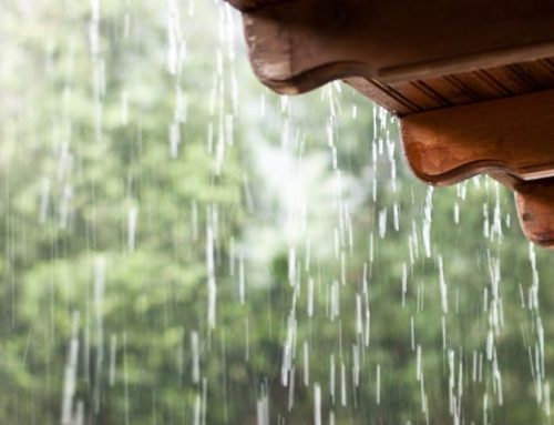 Preventing Water Damage to your home