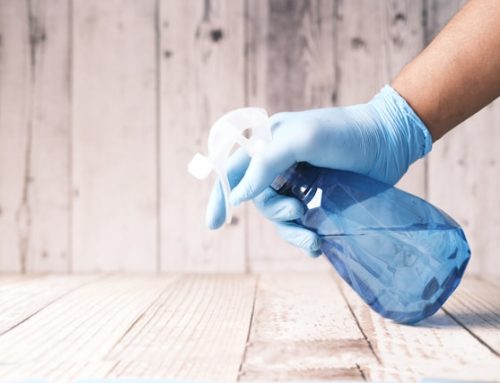 Spring Cleaning for Your Small Business: 7 Ways to Refresh and Refocus