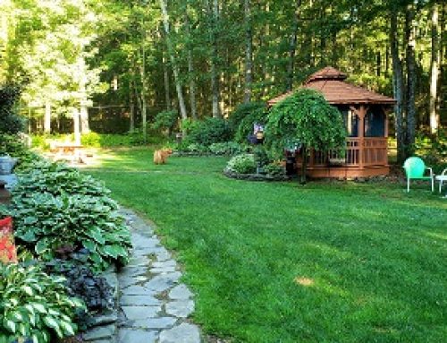 The Ultimate Backyard Safety Checklist